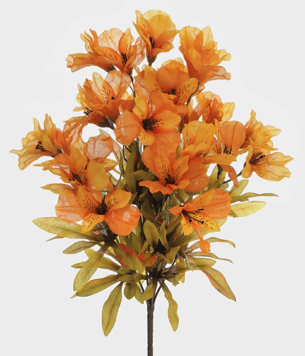 Bq Astromelia X10 Laranja Outono R.32578 197 Grillo