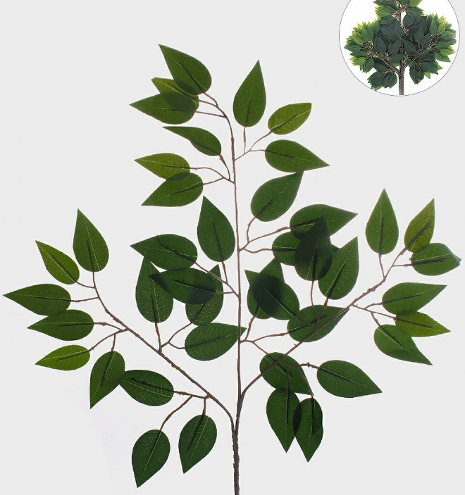 Ficus 42 Folhas Verde