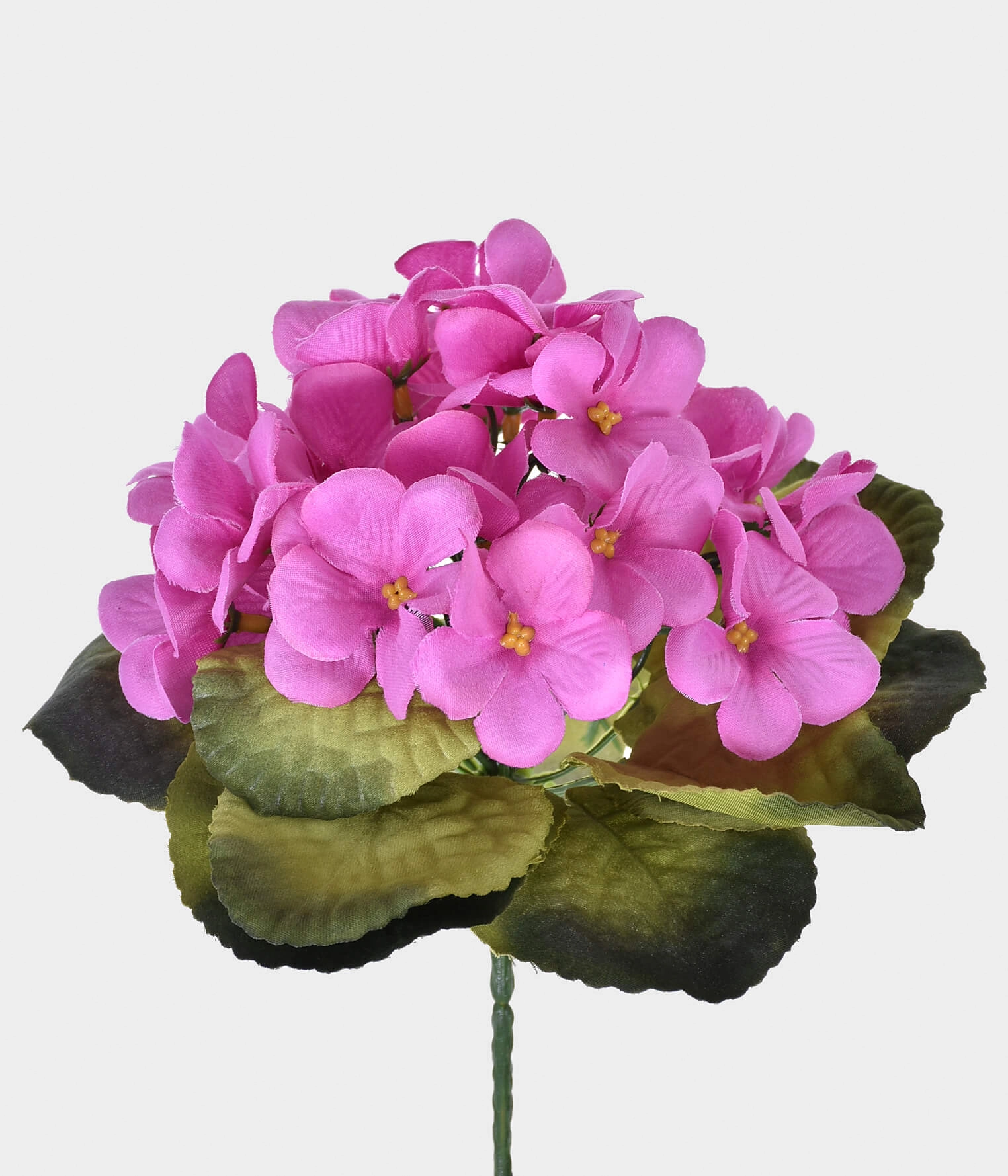 Bq Violeta Micropeach Lavanda