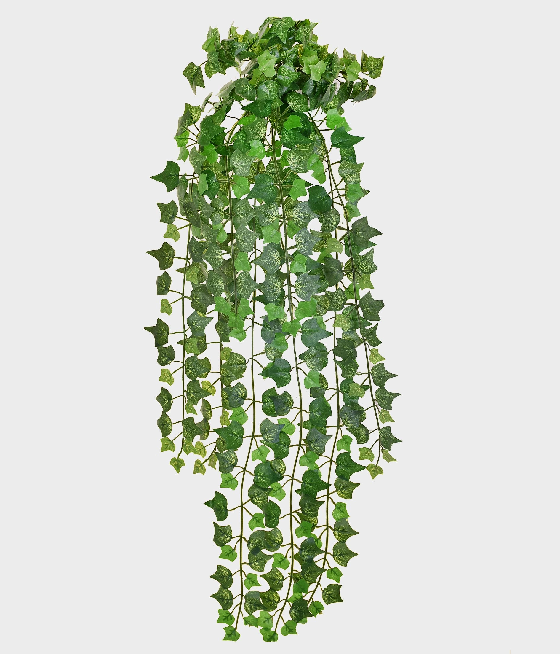 Folhagem Grillo 42970 086 X390 Era Ingle 29