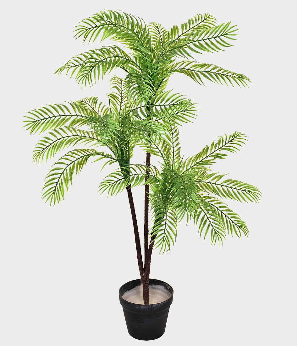 Arvore Palmeira X3 42.971 004 Grillo