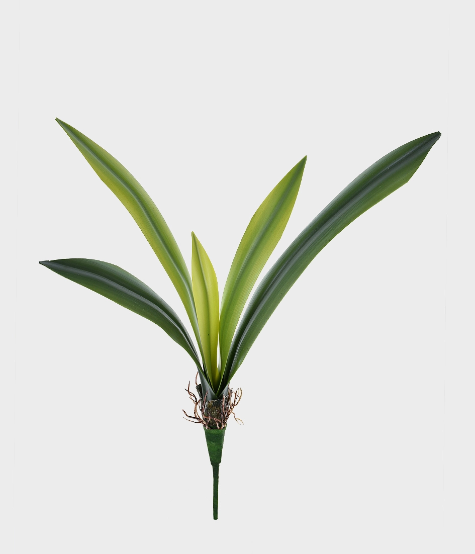 Folha Orquidea Real X5 42983 Grillo