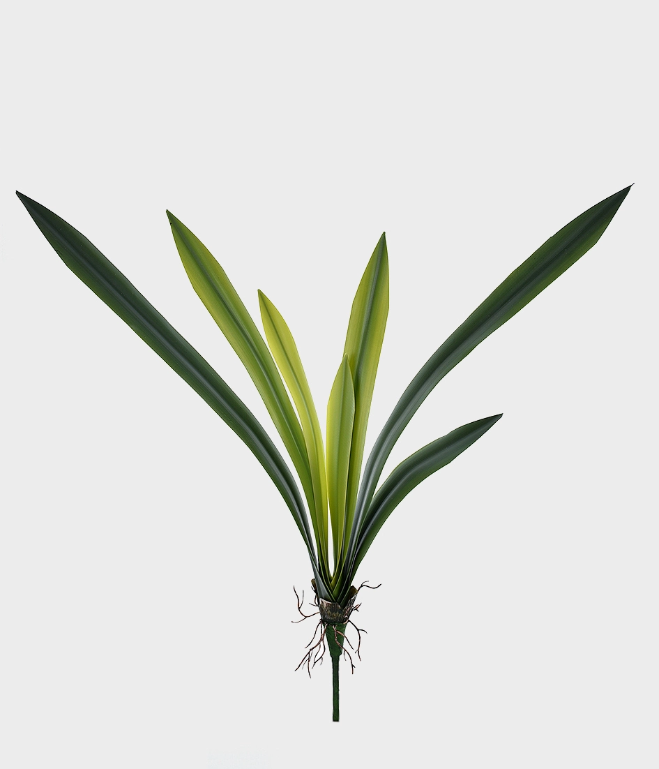 Folha Orquidea Real X7 42984 Grillo