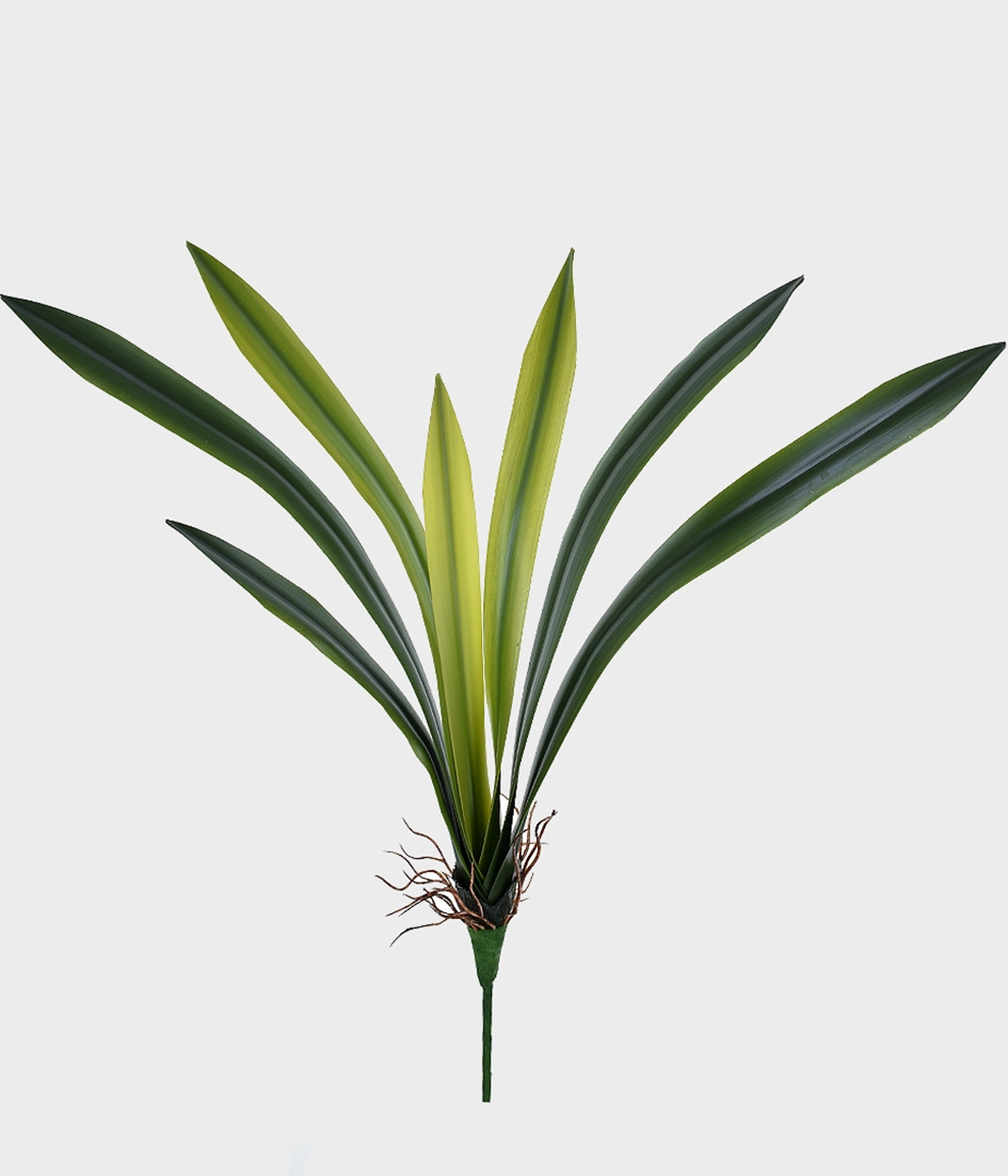 Folha Orquidea Real X7 42985 Grillo