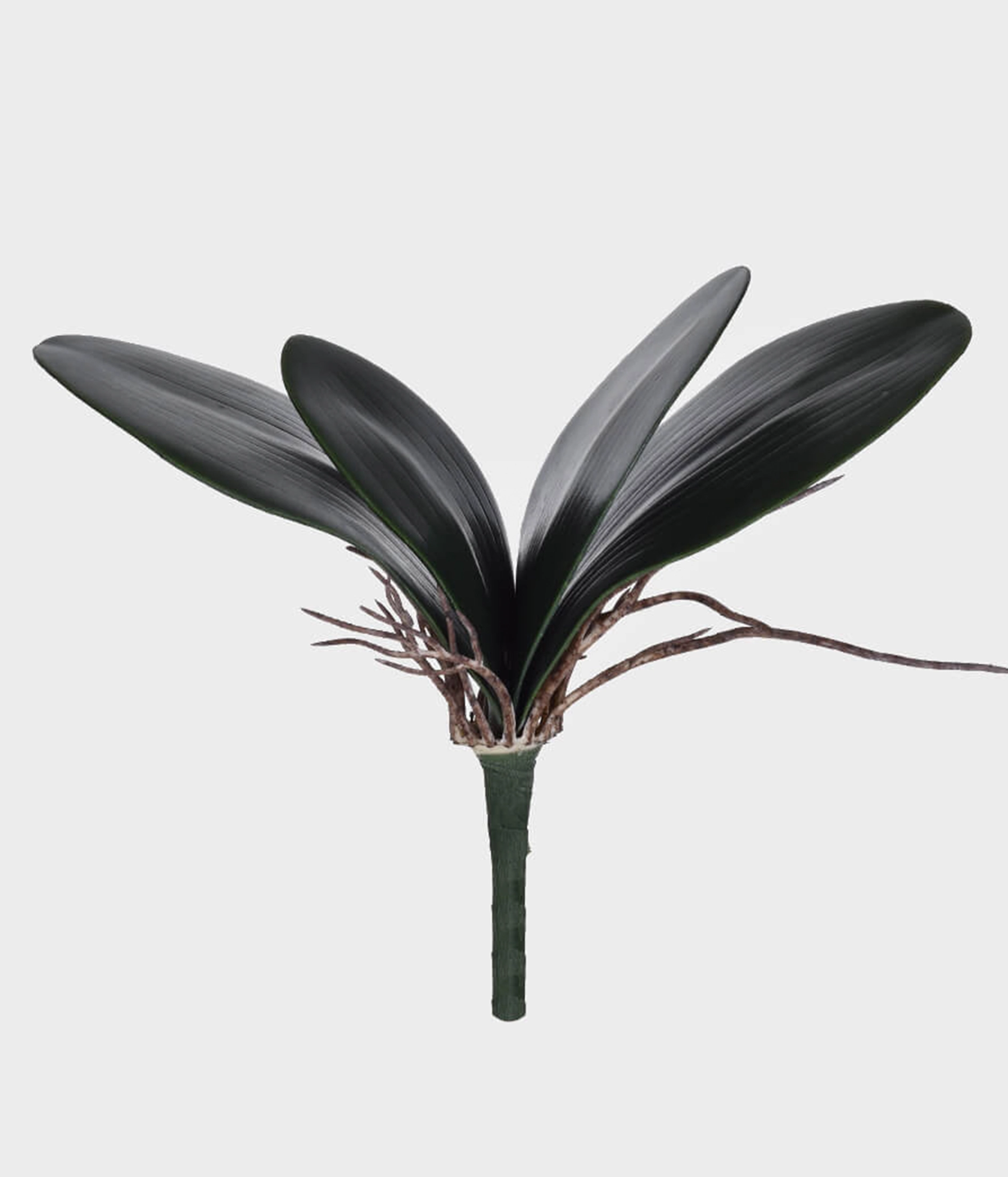 Folha Orquidea X4 Verde 43679 004 Grillo
