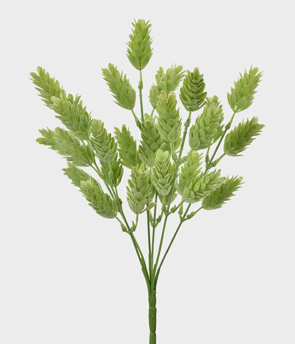 Bq Folhas Pinha Complemento Verde