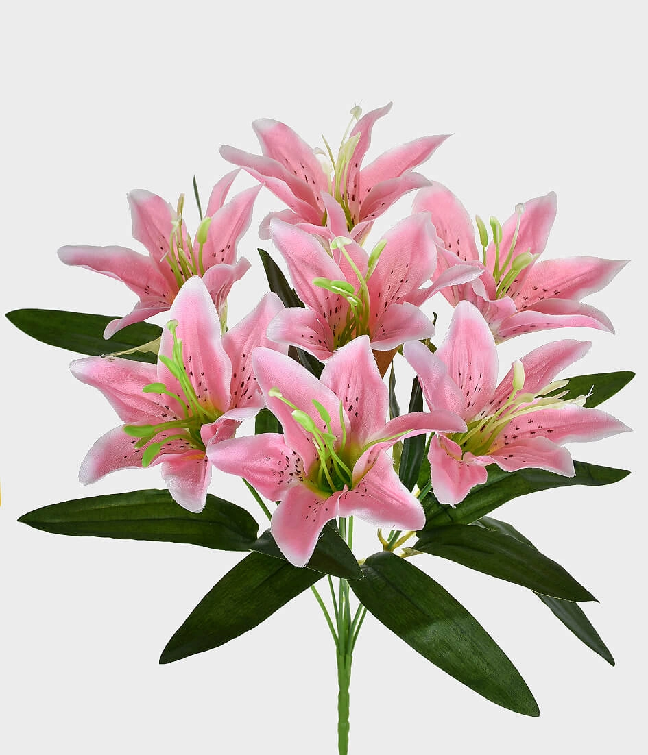 Bq Lirio X7 Cetim Rosa Ref.44991 018 Grillo