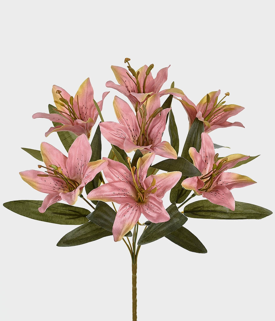 Bq Lirio X7 Cetim Rosa Outono Ref.44991 241 Grillo