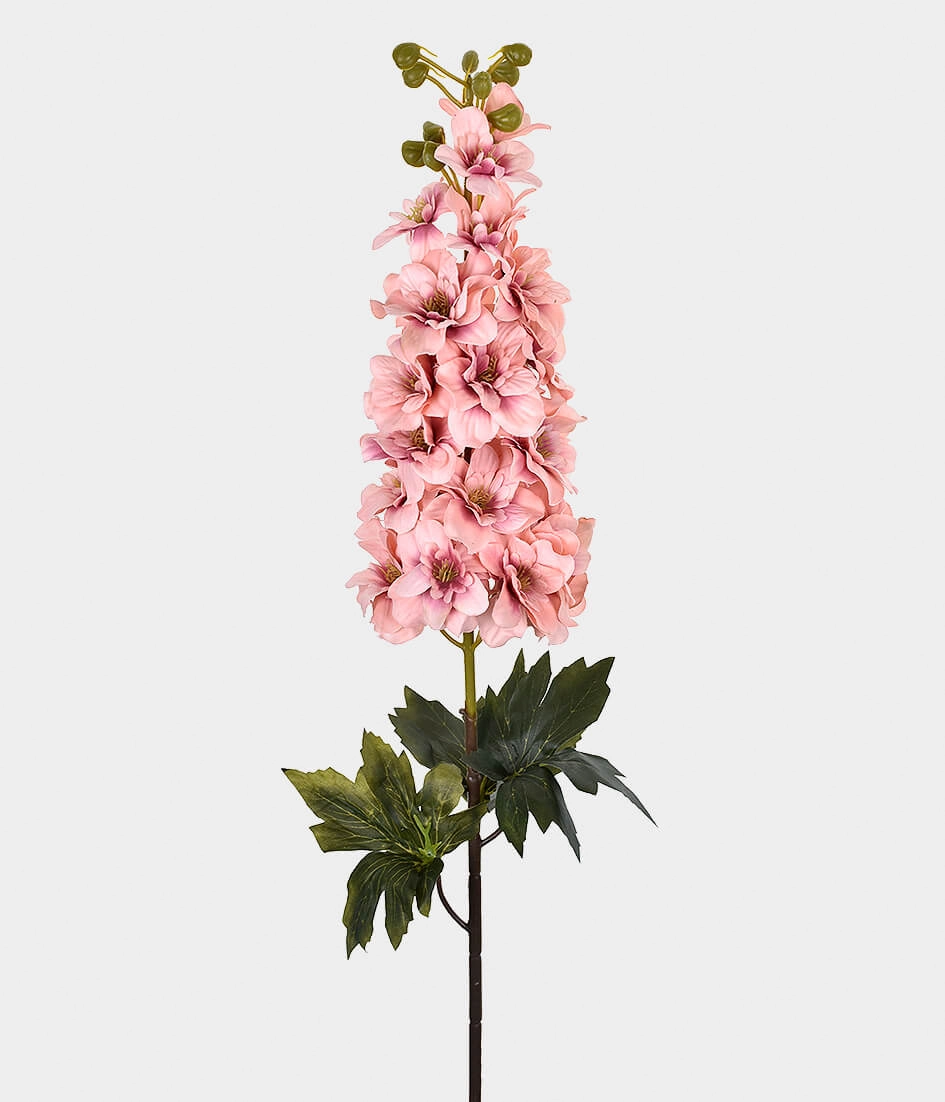 Ht Delfinium Lx Rosa Outono 46395 241 Grillo
