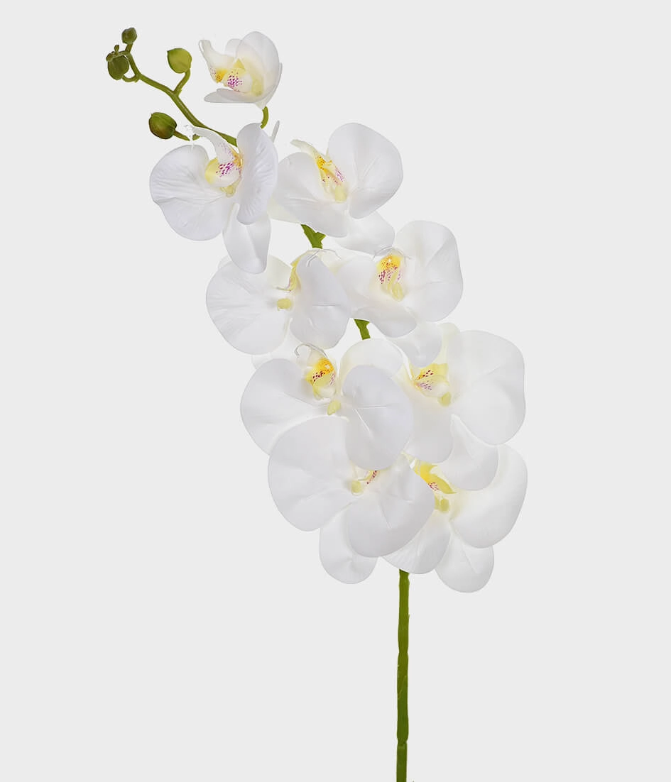 Ht Orquidea Silicone Pvc X9 Branco 46398 008 Grillo