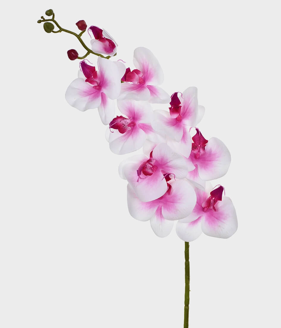 Ht Orquidea Silicon X9 Grillo 46398 Rosa
