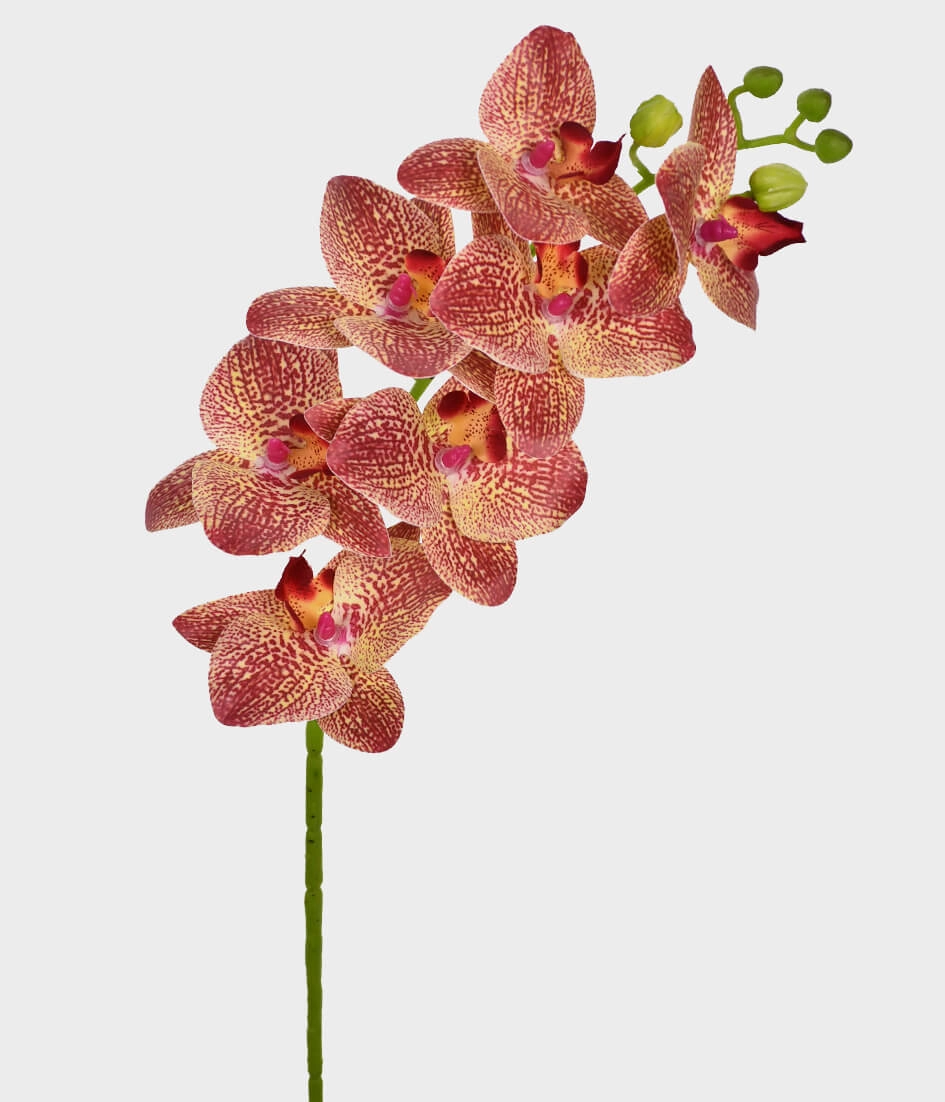 Ht Orquidea 3d X7 Burgundy Ref.46400 115