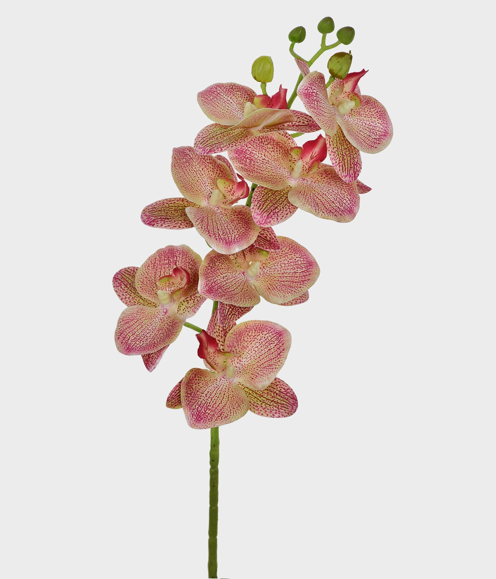 Ht Orquidea 3d X7 46400 Grillo