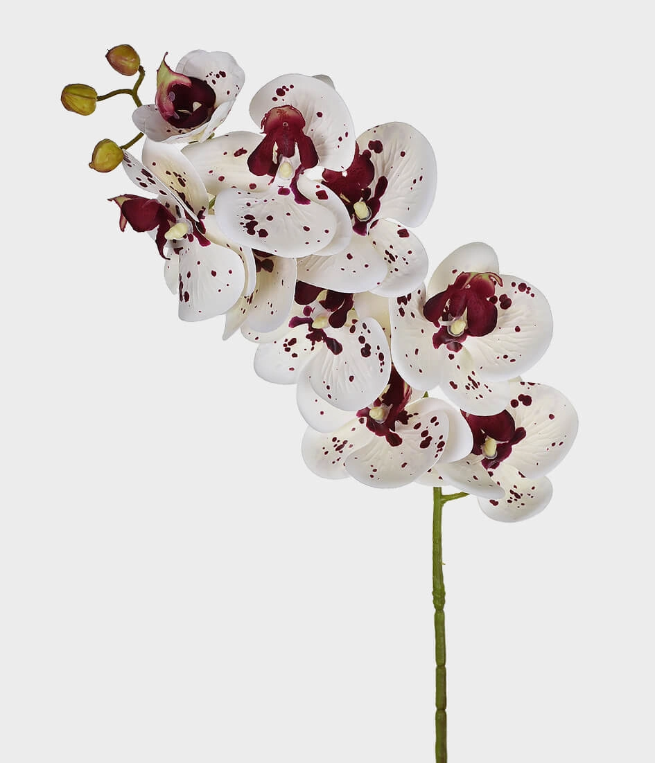 Haste Orquidea 3d X9 Branco Purpura Grillo