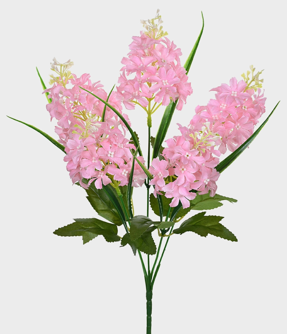 Buque Jacinto Rosa 5x 46417 18 Grillo