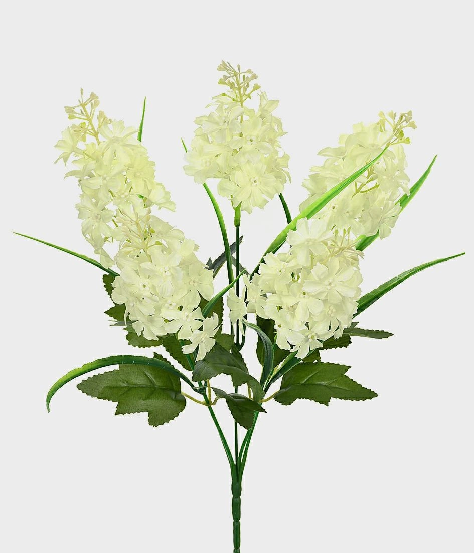 Buque Jacinto Creme 5x 46417 010 Grillo