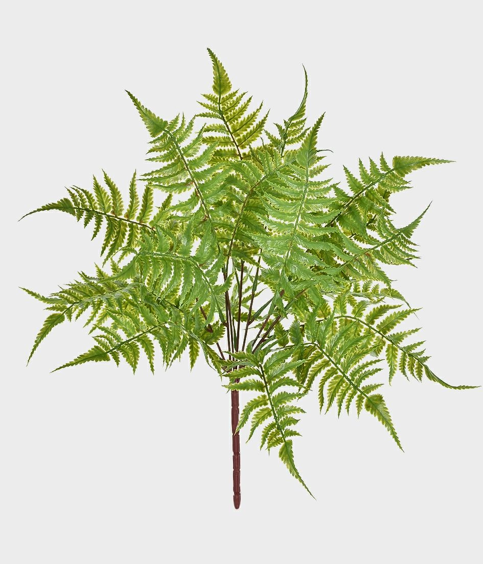 Bouquet Avenca X7 Toque Real Verde Grillo