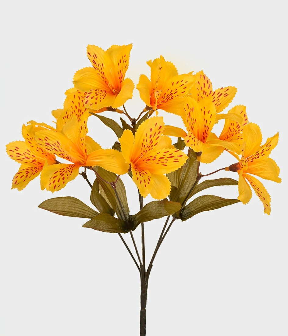 Bq Astromelia Silvestre X6 Amarelo 47001 005 Grillo