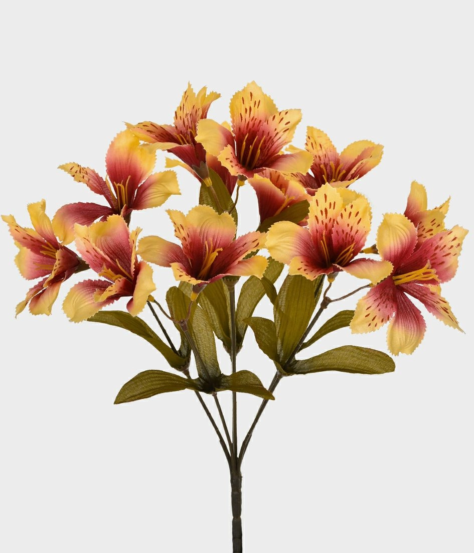 Bq Astromelia Silvestre X6 Laranja 47001 015 Grillo