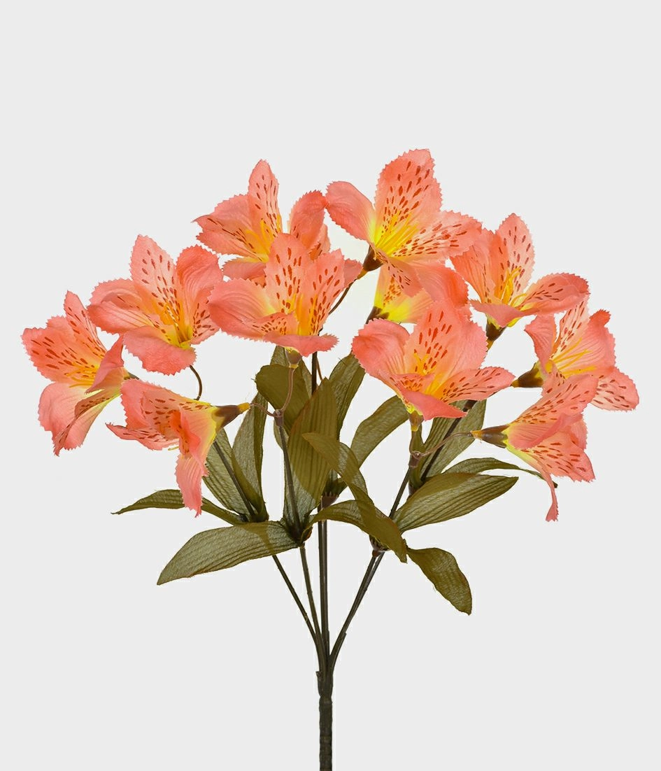 Bq Astromelia Silvestre X6 Rosa 47001 018 Grillo