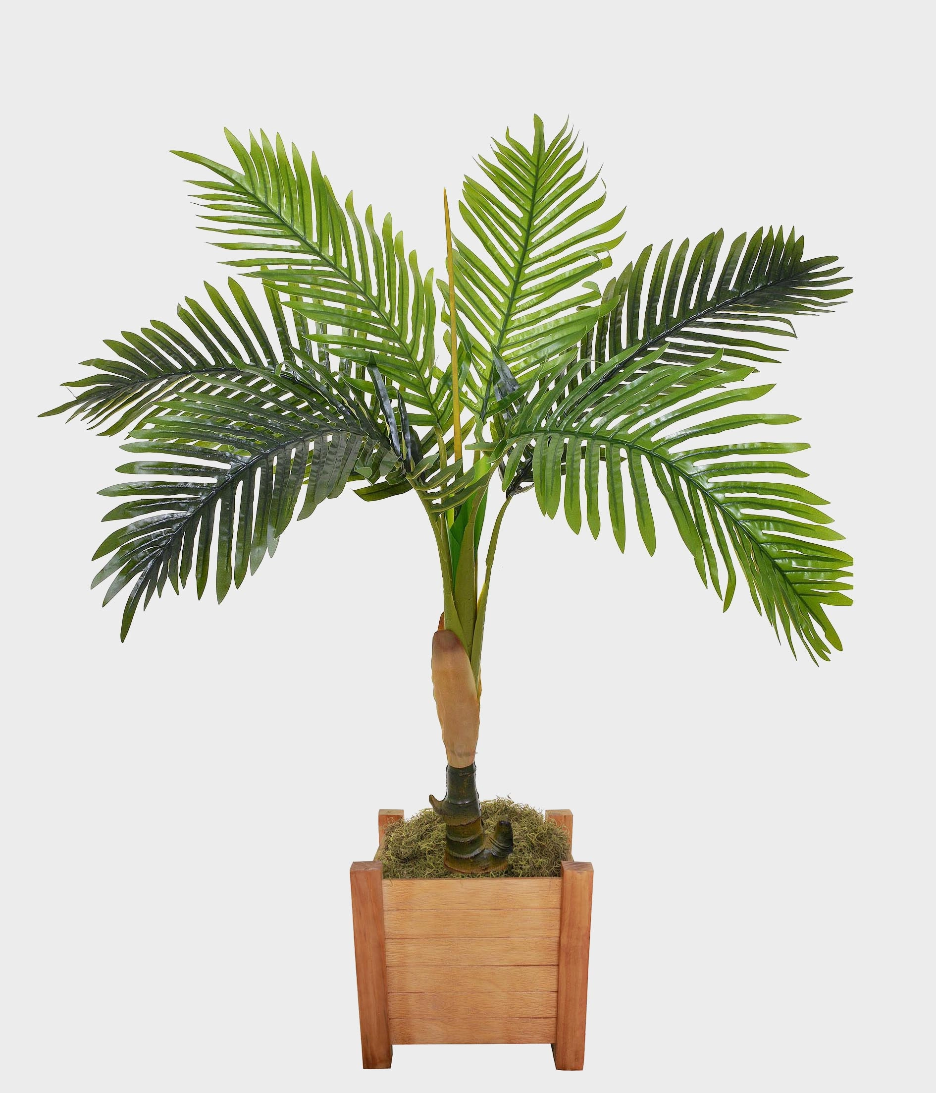 Arvore Palmeira X6 47.443 004 Grillo