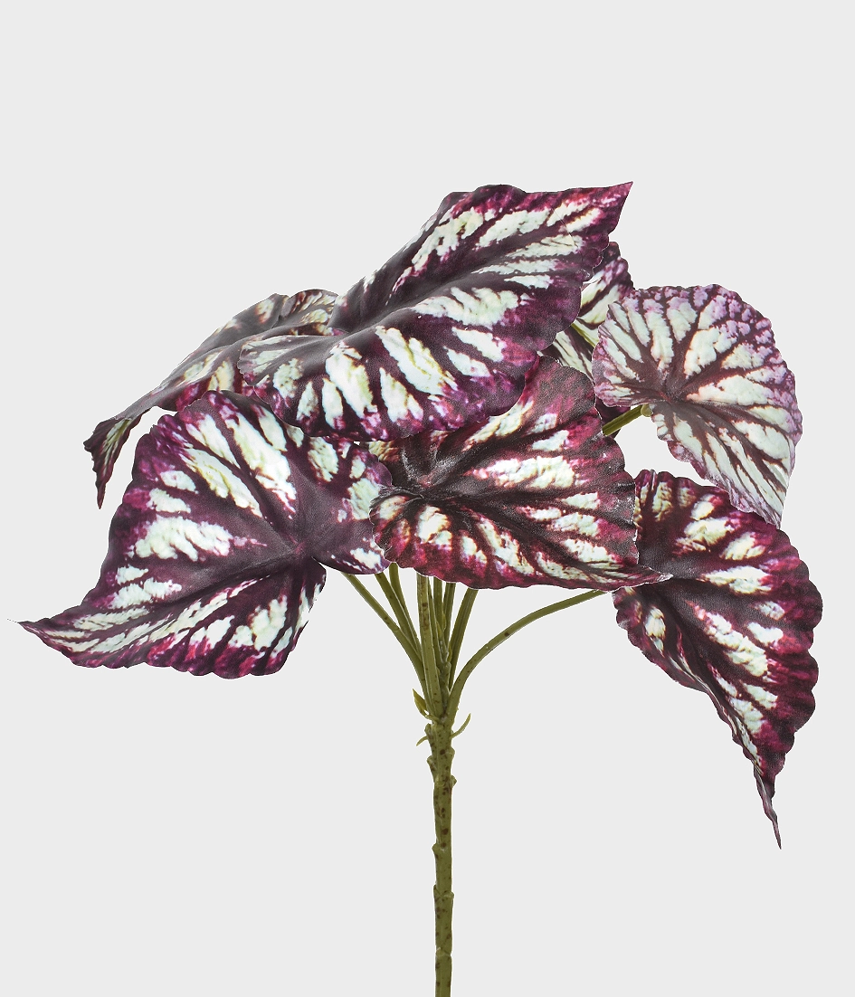 Bq Folha Taro X9 Burgundy 48966 115 Grillo