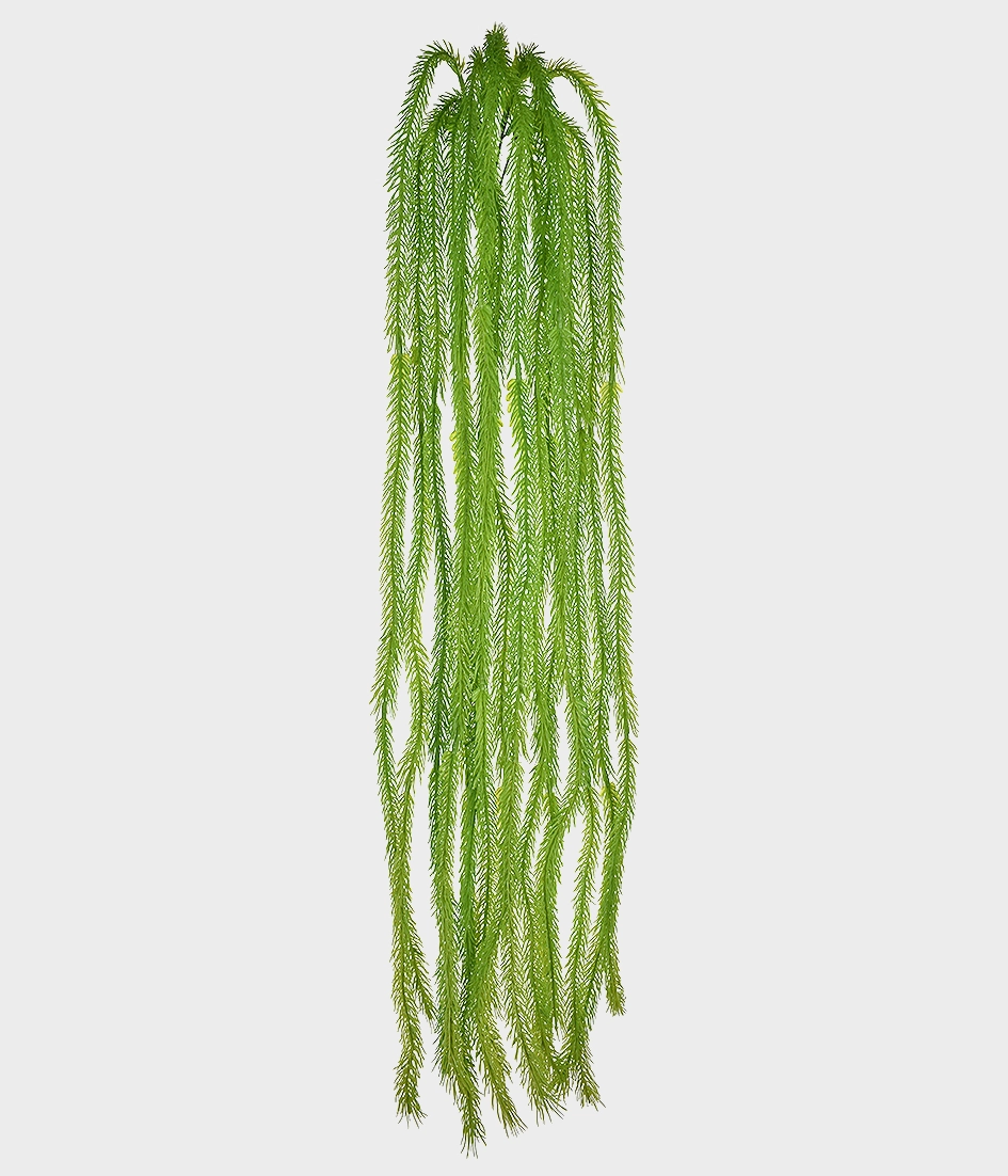 Folhagem Pinho Agulha X15 Verde Grillo