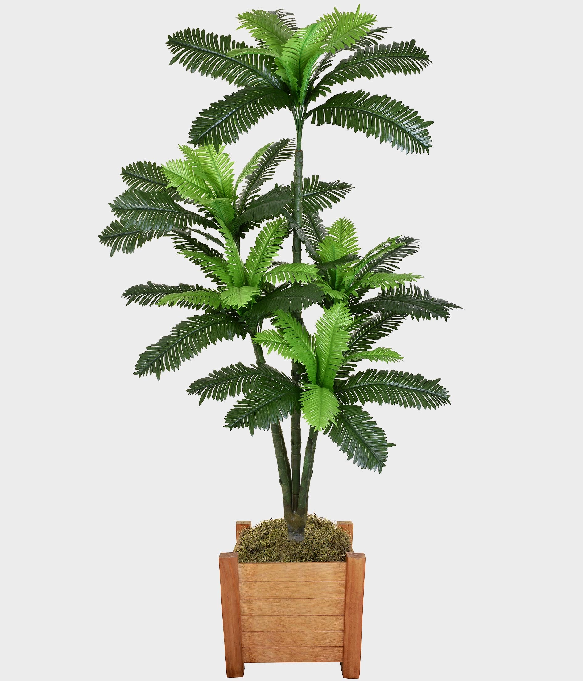 Planta Palmeira Tropical Verde 49108 004 Grillo