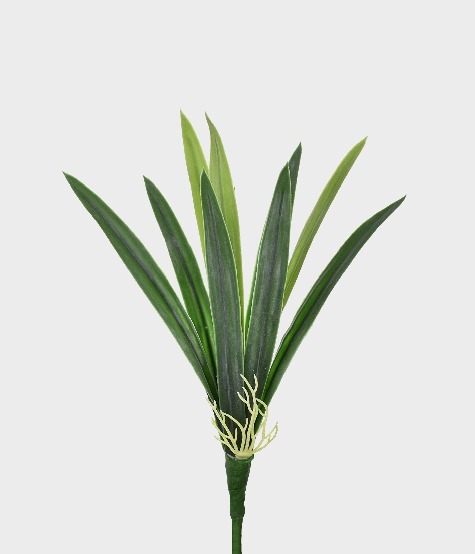Folha Amarilis X13 Md Verde 49118 004 Grillo