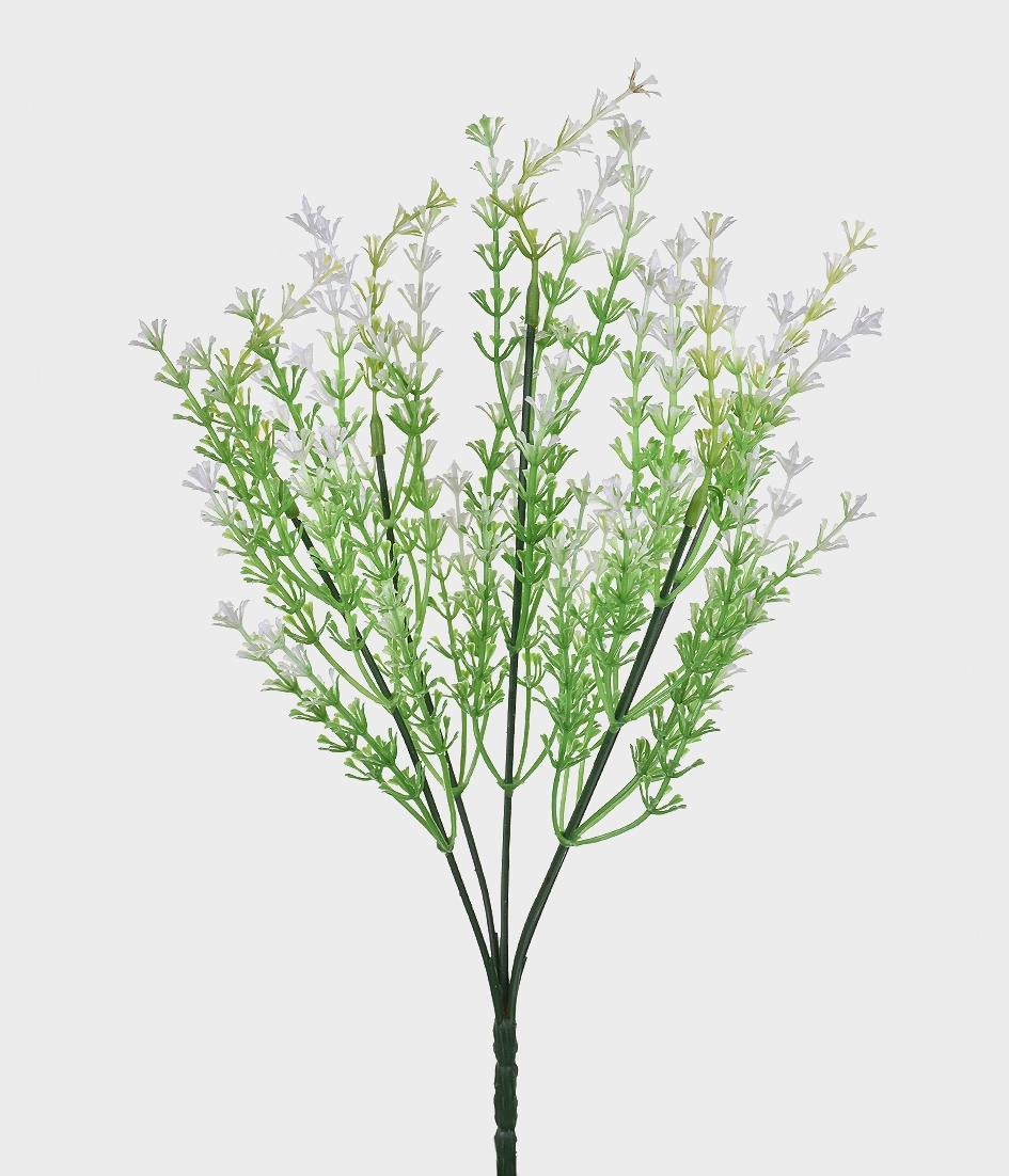 Buque Complemento Mini Lavanda Branco Grillo