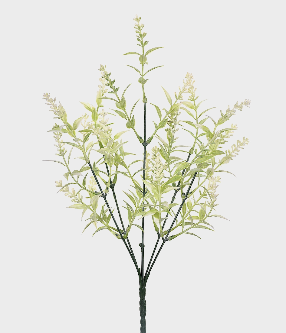 Bouquet Mini Lavanda Silvestre X5 Creme Grillo