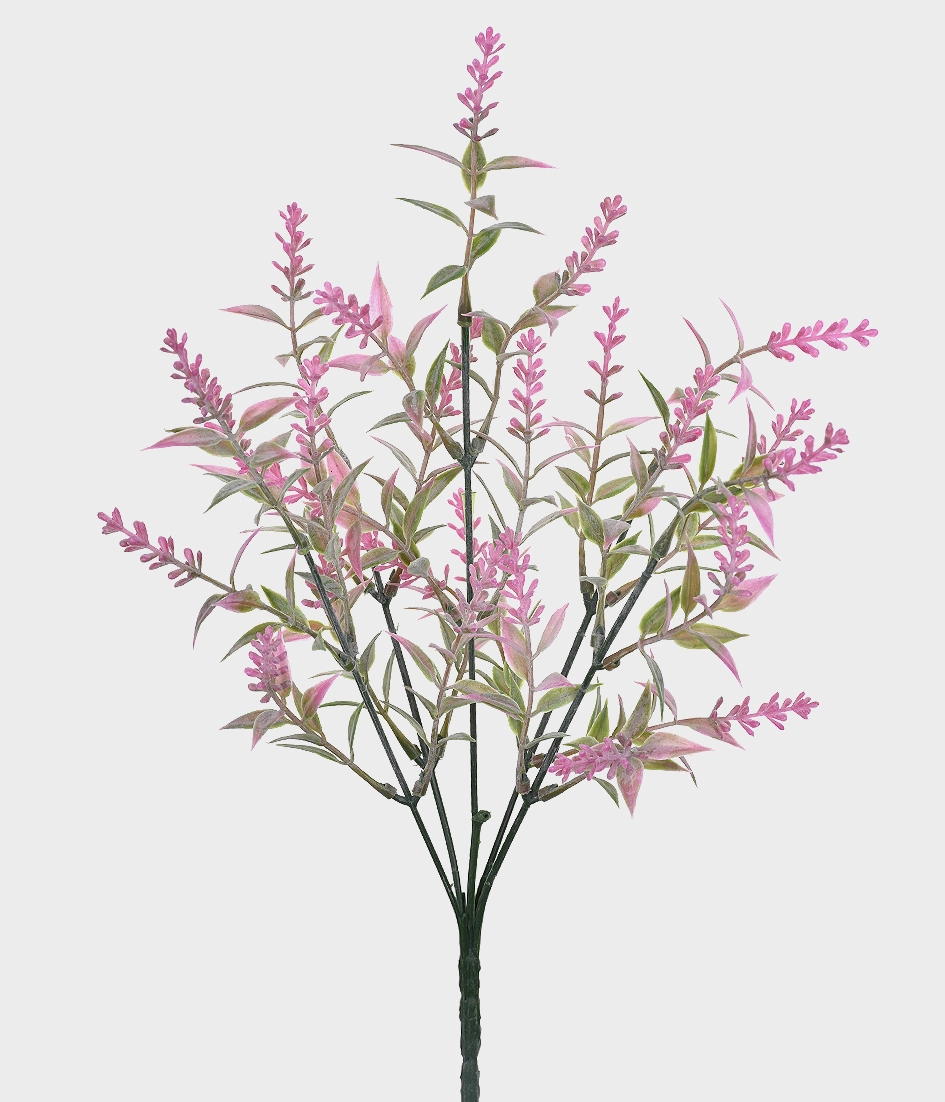 Buque Mini Lavanda Silv.x5 49169 031