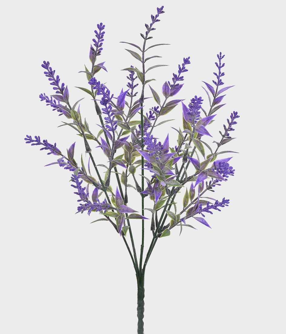 Buque Mini Lavanda Silv.x5 49169 479