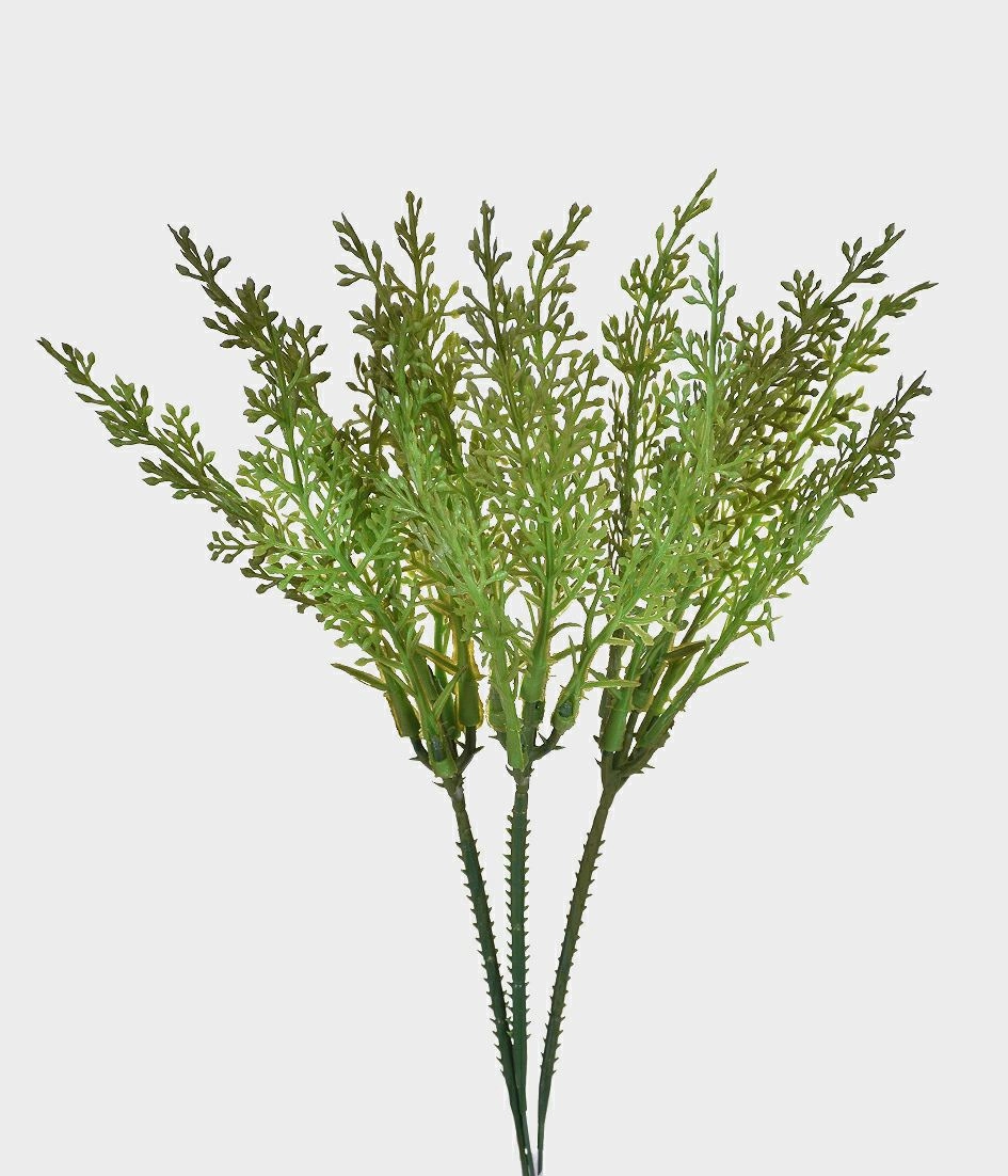 Pick Folhas Coral X3 Verde 49217 004 Grillo