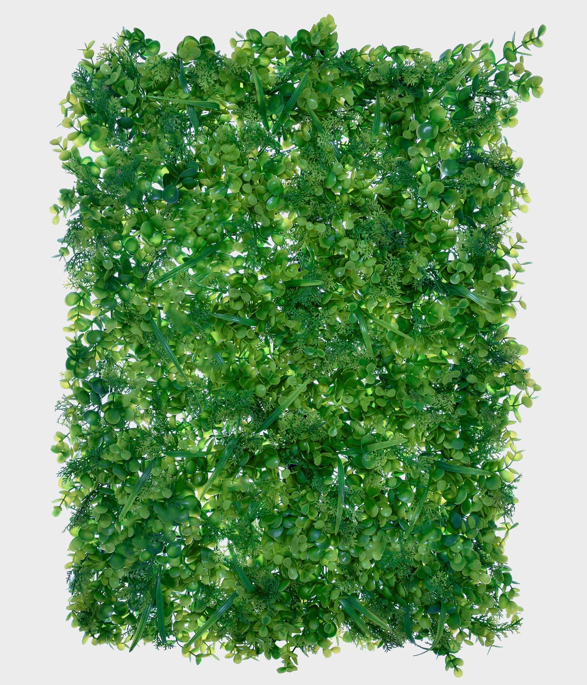 Placa De Grama 40x60cm Mista X 49652 004 Grillo