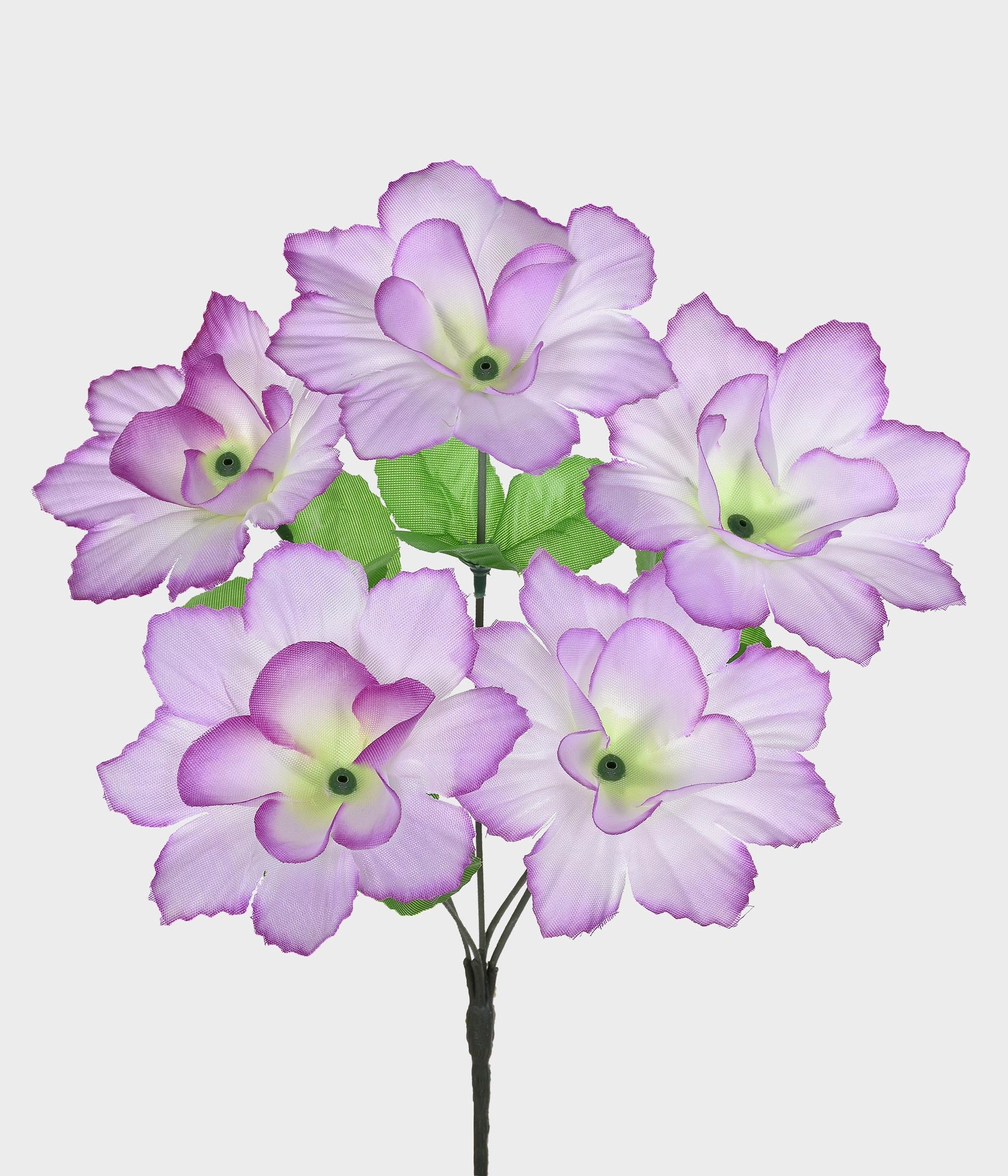 Bq Dalia X 5 Esp Lavanda Ref.49712 031