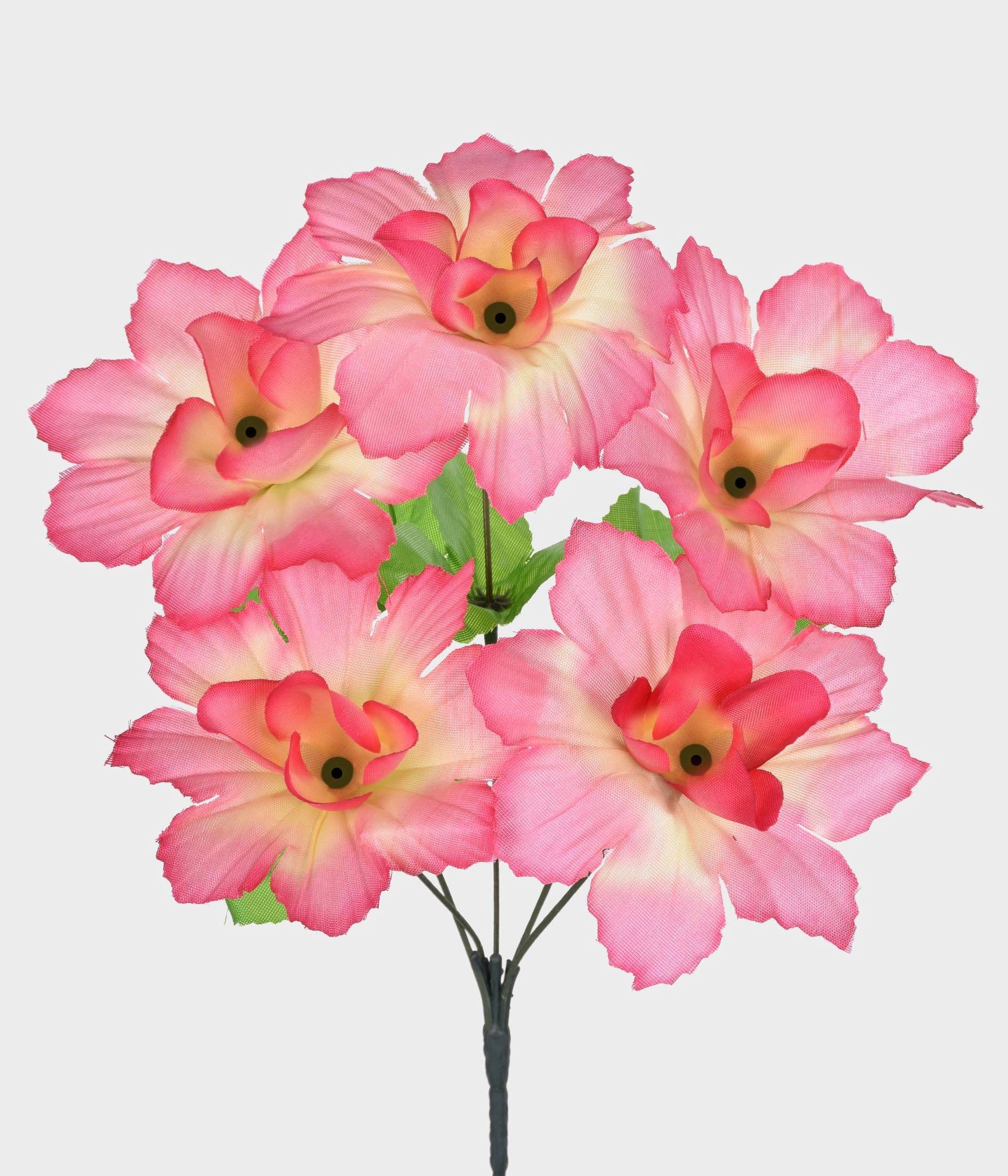 Bq Dalia X 5 Esp Rosa Ref.49712 018