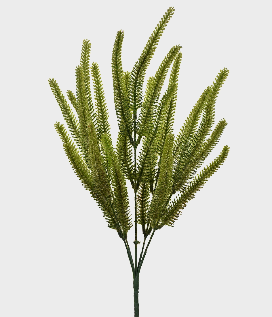 Bq Cattail X5 50147 004 Grillo