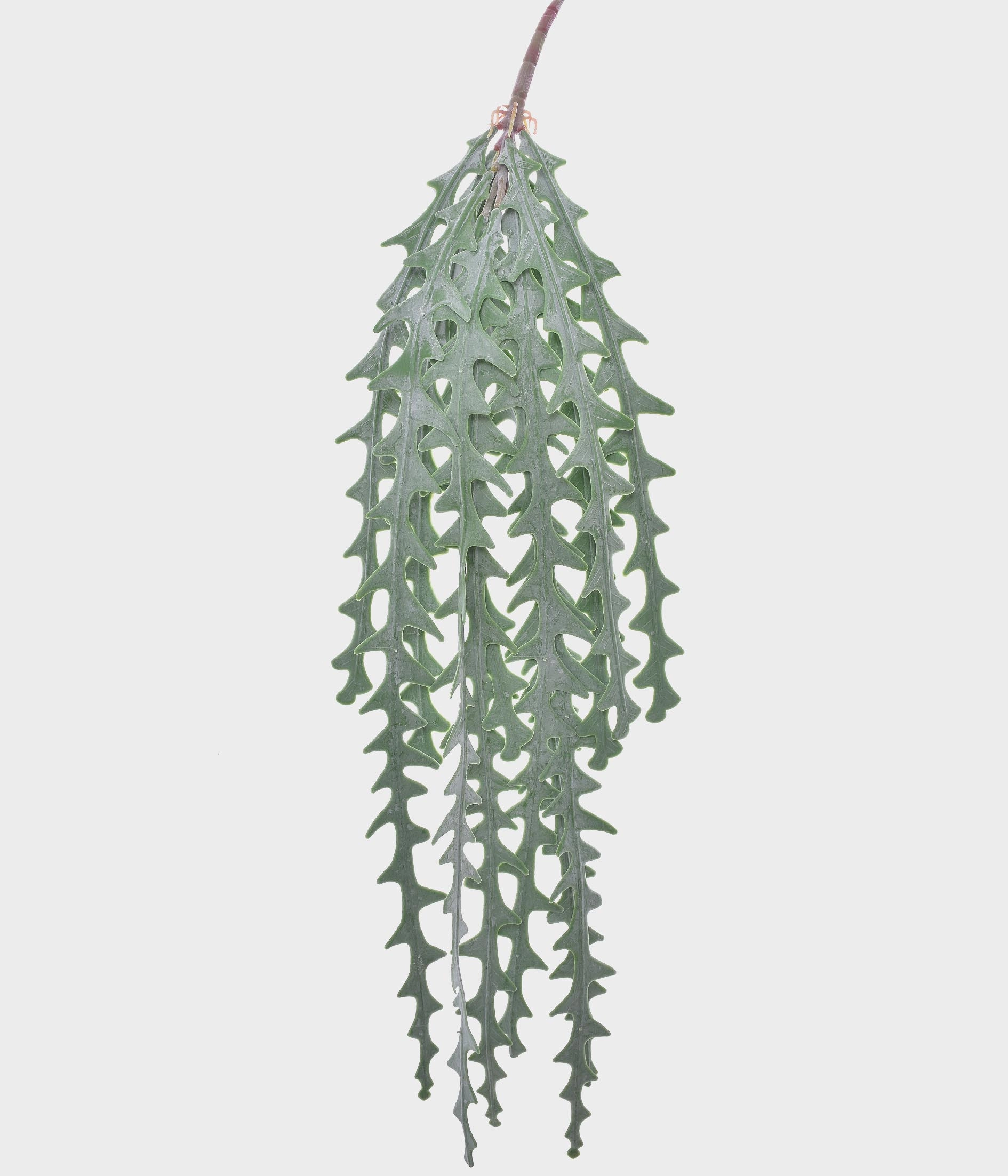 Pendente De Coral X12 Verde
