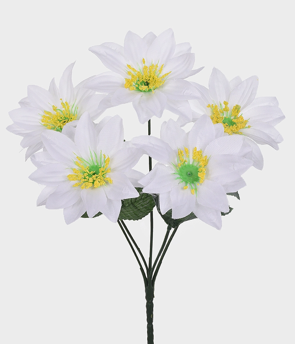 Bq Gerbera Estrela X5 Br