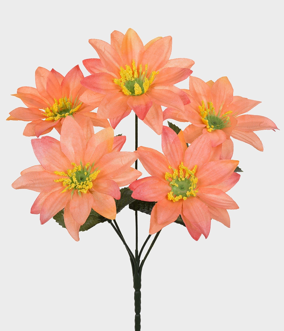 Bq Gerbera Estrela X5 Salmao
