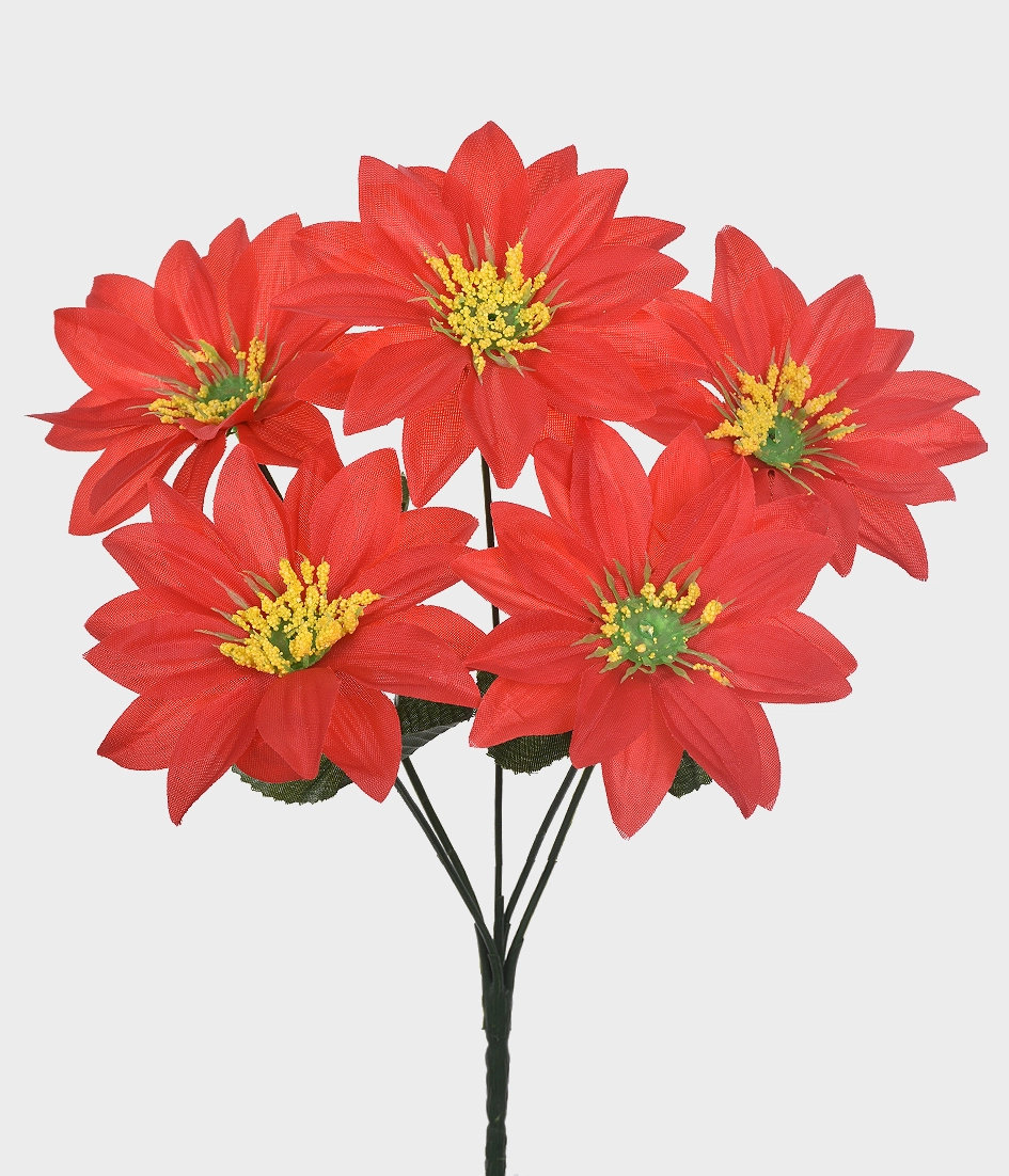 Bq Gerbera Estrela X5 Vermelho