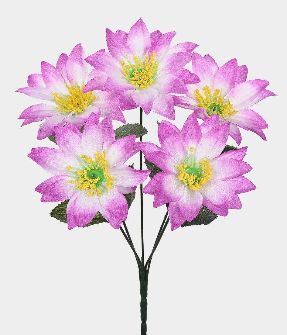 Buque Gerbera Estrela X5 Lavanda