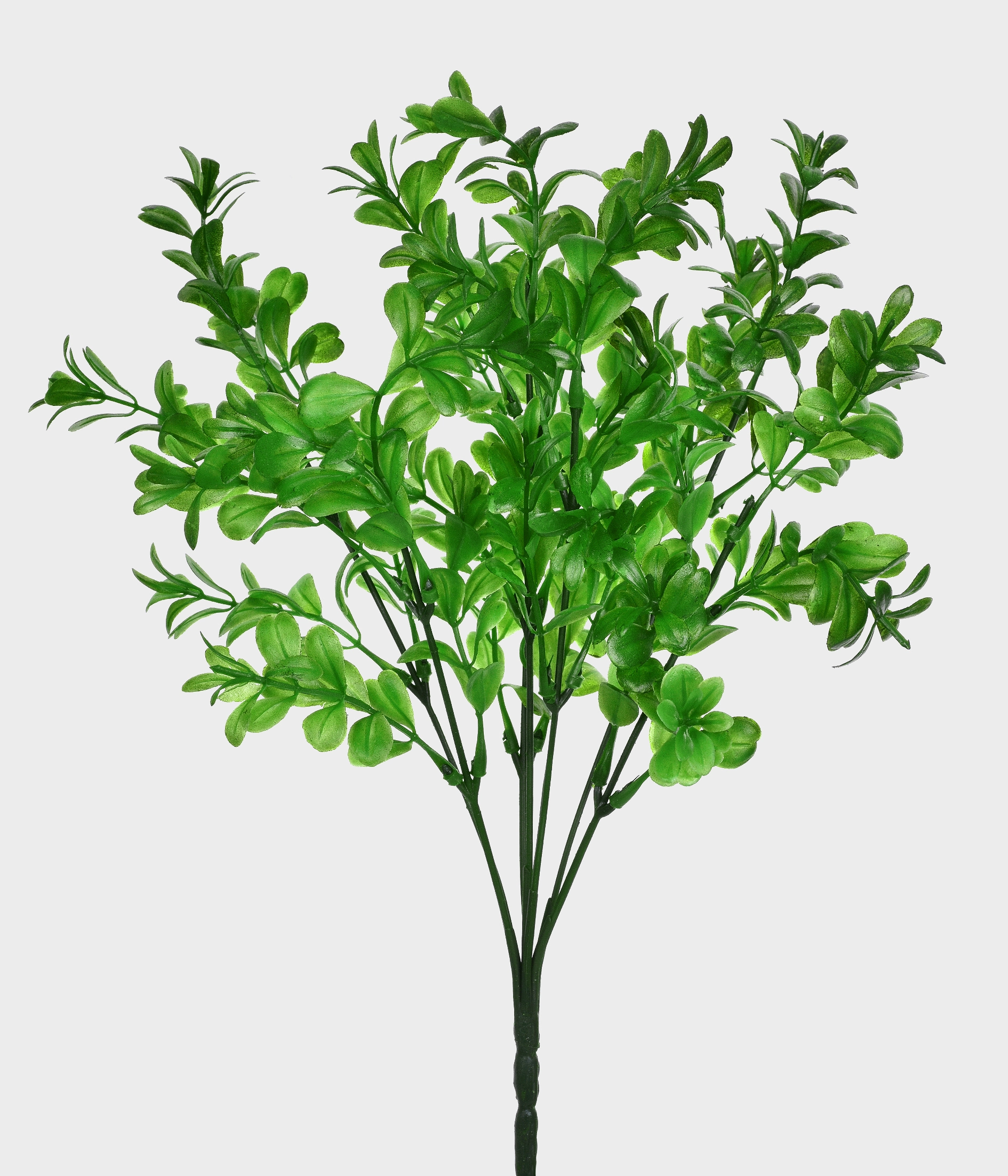 Buque Folhas De Cha X7 Verde 50183 004 Grillo