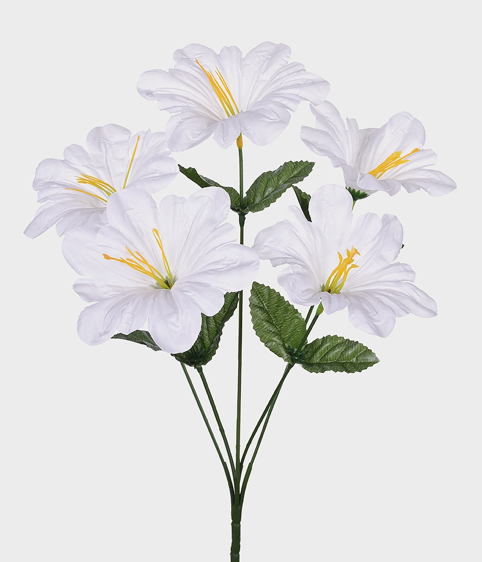 Buque Lirio Poppy X5 50.203 008 Grillo