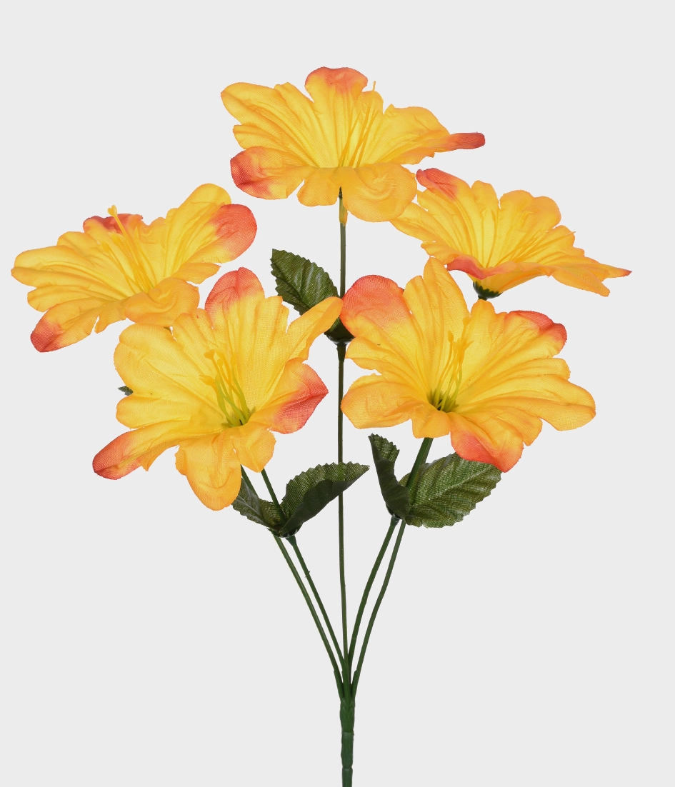 Bq Lirio Poppy X5 Laranja