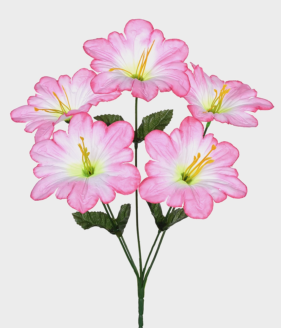 Bq Lirio Poppy X5 Rosa Grillo