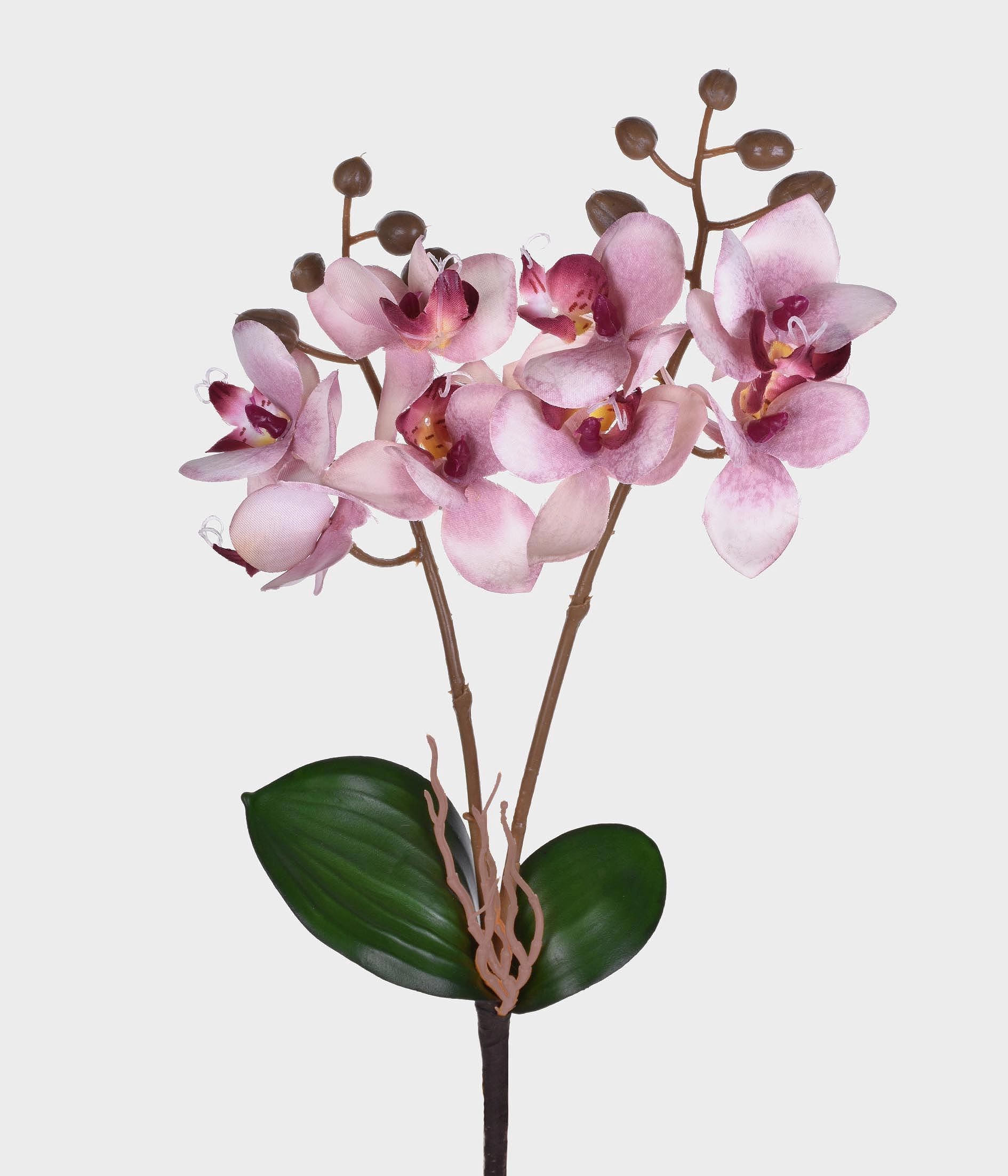 Ht Orquidea X2 Cetim Lavada Grillo 1x1und