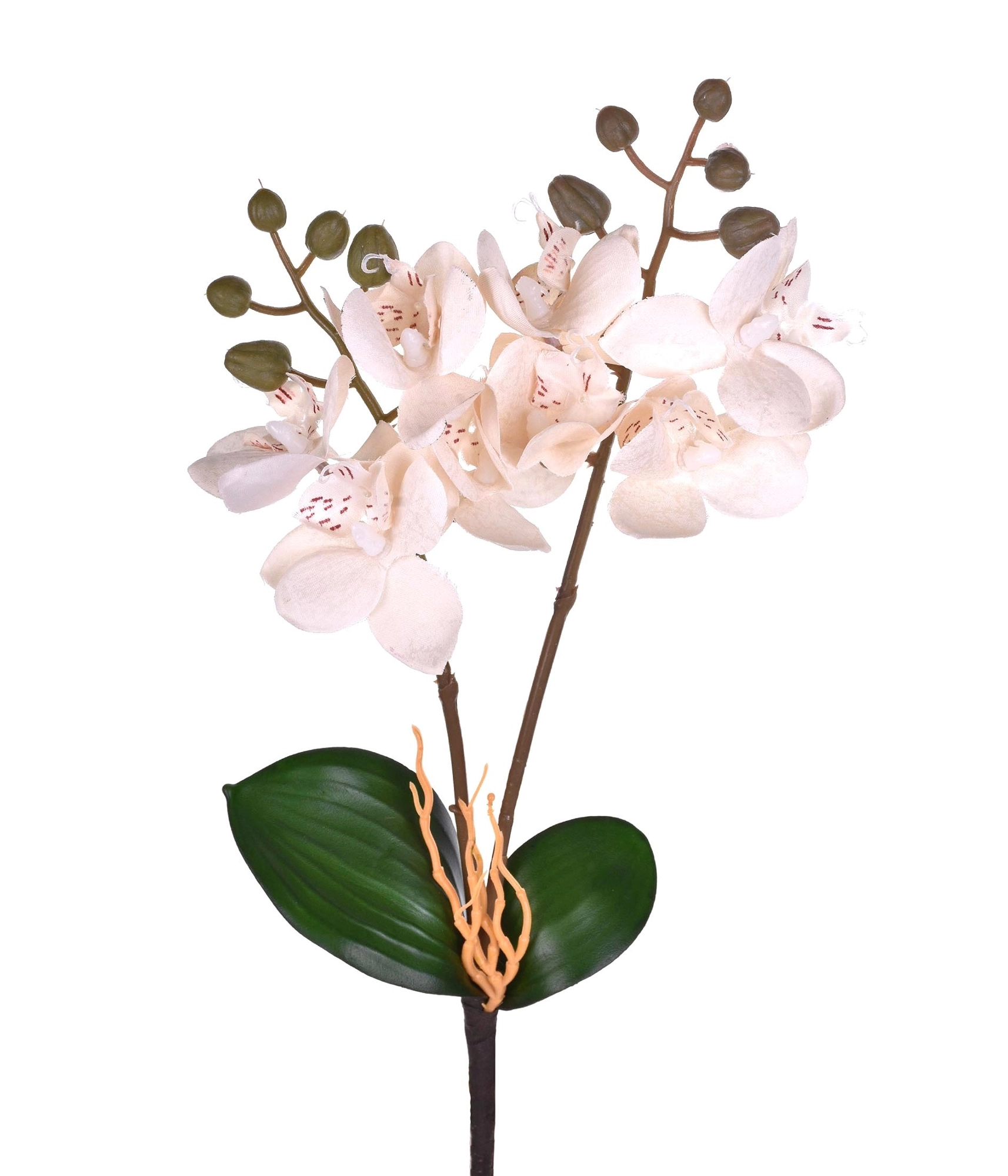 Ht Orquidea Grillo 50273 008 X2 Cetim Br