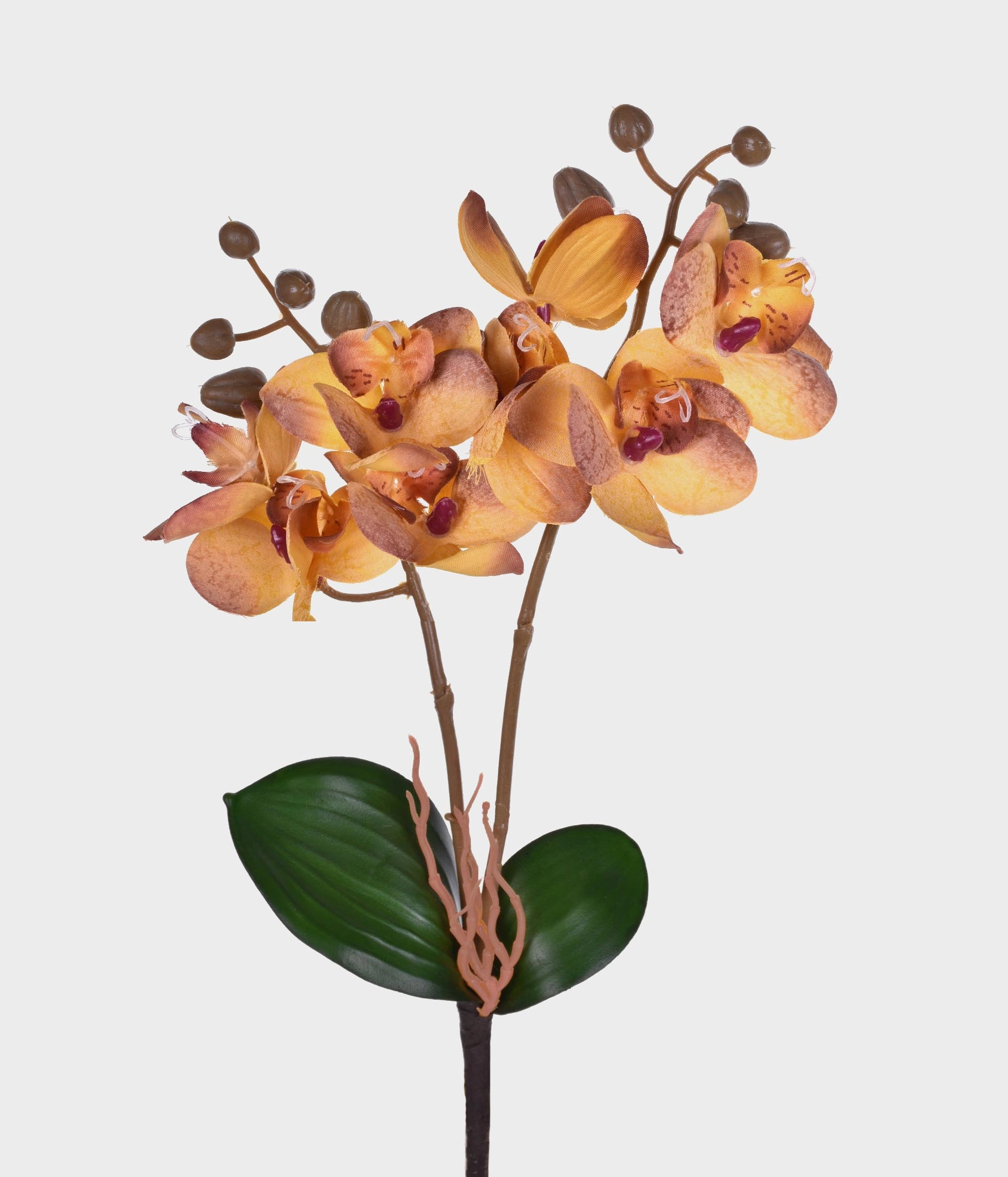 Ht Orquidea Grillo 50273 005 X2 Cetim Am